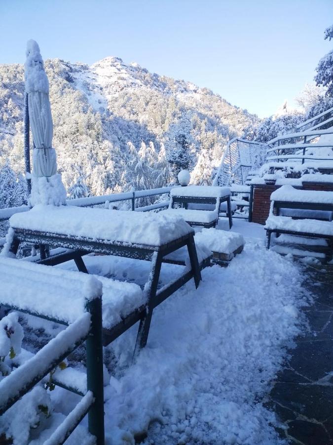 Seegreen Lodges موسوري المظهر الخارجي الصورة
